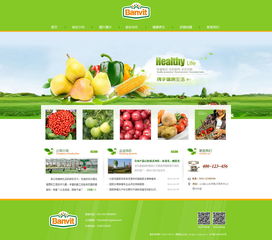 天津網站設計 奔唐網絡飲料原料官網設計